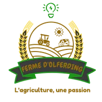 logo-transparent-200h